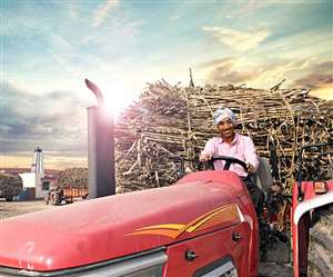 यूपी सरकार के प्रयास ने गन्ना किसानों के चेहरों पर रौनक लौटा दी है।