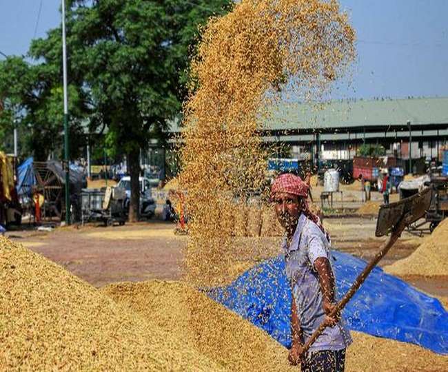 paddy purchase scams coming out one after the other in udham singh nagar