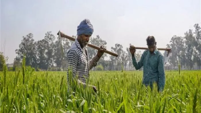 गणतंत्र दिवस परेड के गवाह बनेंगे हिमाचल के किसान (फाइल फोटो)