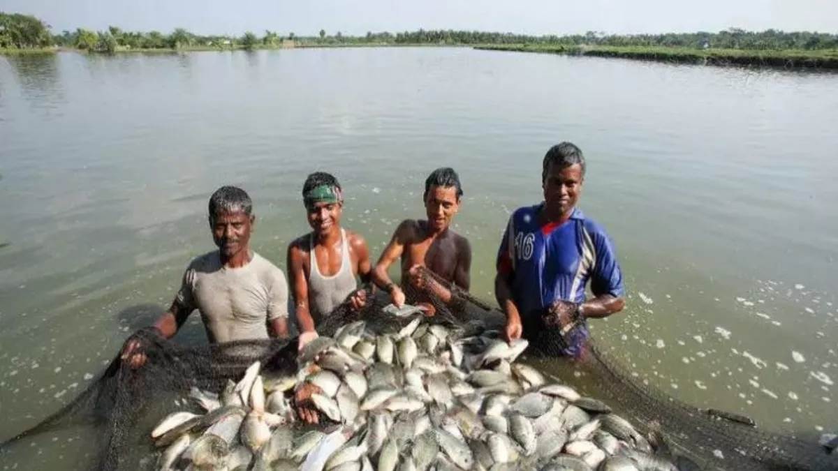 बिहार में मत्स्य पालन को मिलेगा बढ़ावा, नीतीश सरकार दे रही 50 प्रतिशत