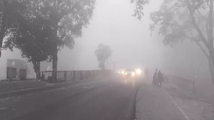 शीतलहर की चपेट में हिमाचल, कोहरे को लेकर पुलिस ने जारी की एडवाइजरी (फाइल फोटो)
