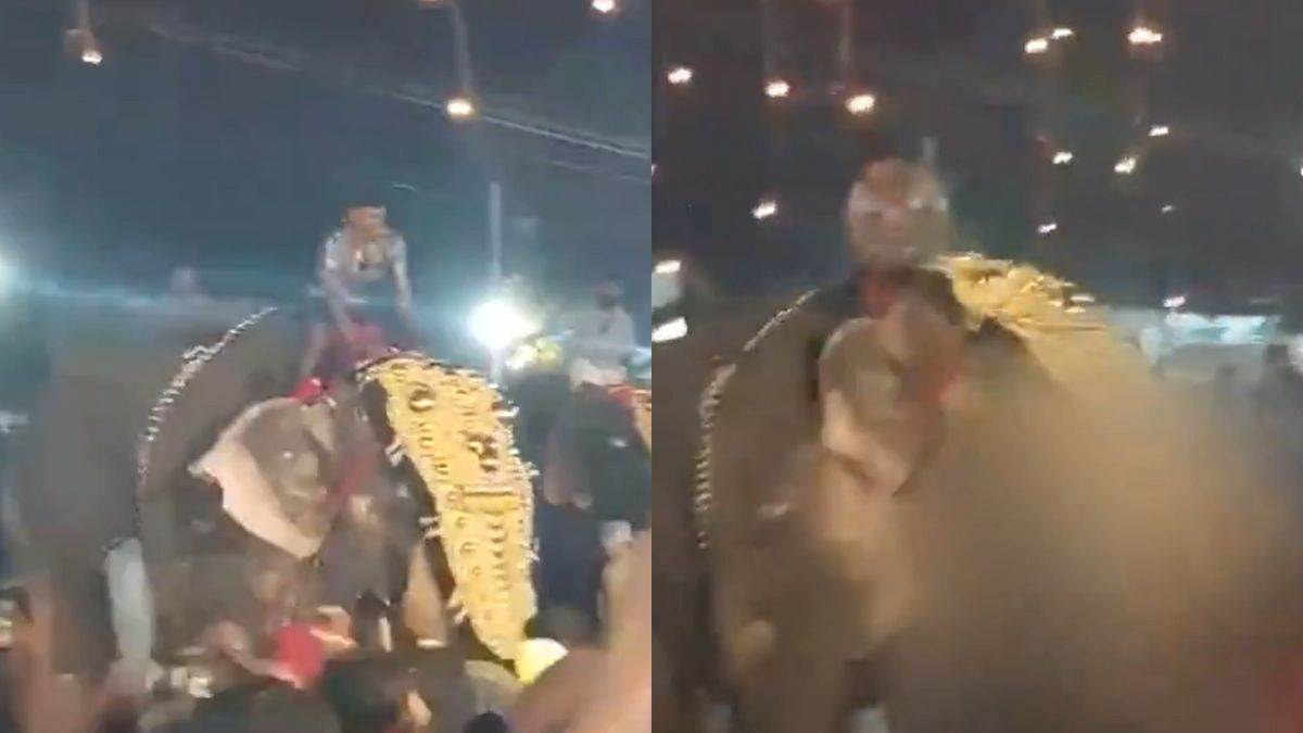 https://www.jagranimages.com/images/newimg/08012025/08_01_2025-kerala_elephant_attack_23863129.jpg