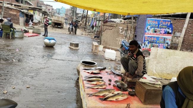 जिले में मांस-मछली के कारोबार पर पड़ रहा असर, बिक्री में आई कमी - Impact on  meat and fish business in the district, decrease in sales