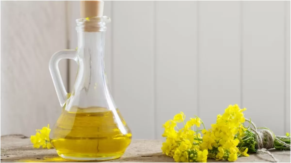 Canola Oil: किचन में शामिल करना चाहते हैं कनोला तेल तो जान लें इसके फायदे और नुकसान