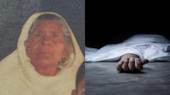 भतीजों से विवाद करने आए भाइयों ने मारा बुजुर्ग मां को धक्का मौके पर मौत