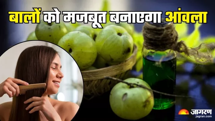 बालों के लिए वरदान है आंवला (Picture Credit- Freepik)