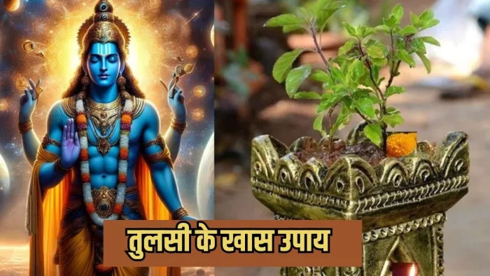 तुलसी के ज्योतिषीय उपाय - (Astrological Remedies Of Tulsi)।