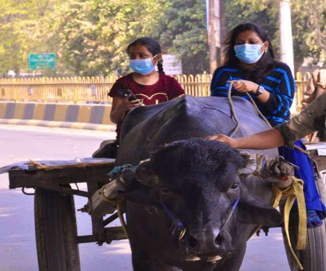 मुजफ्फरनगर में भैंसा-बुग्गी लेकर सड़क पर निकलीं डीएम।