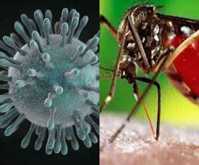 डेंगू और मलेरिया का खतरा बढ़ सकता है।