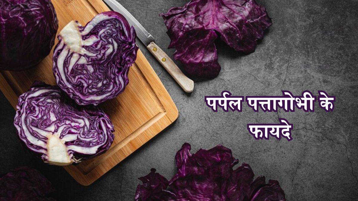 https://www.jagranimages.com/images/newimg/08032024/08_03_2024-purple_cabbage_23669708.jpg