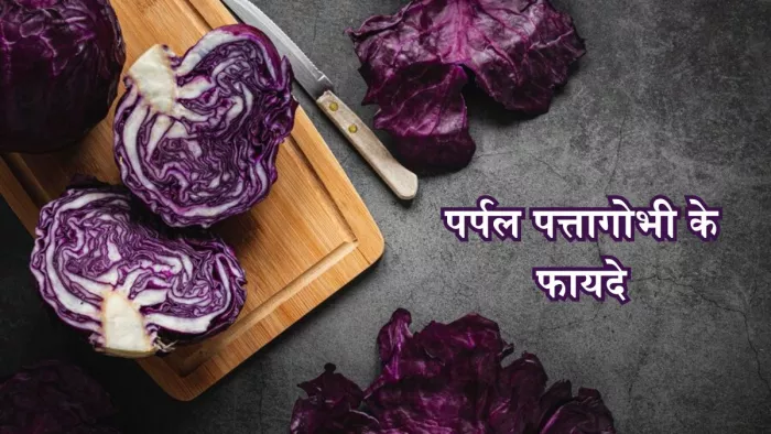 पर्पल पत्तागोभी है सेहत के लिए बेहद फायदेमंद