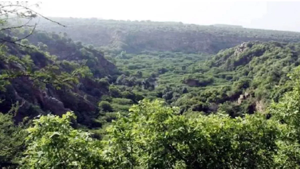 जंगलों से लगी 61 जगहों पर 'घाम ताप' सकेंगे सैलानी, Eco Tourism को बढ़ावा देने के लिए सरकार ने बनाया प्‍लान