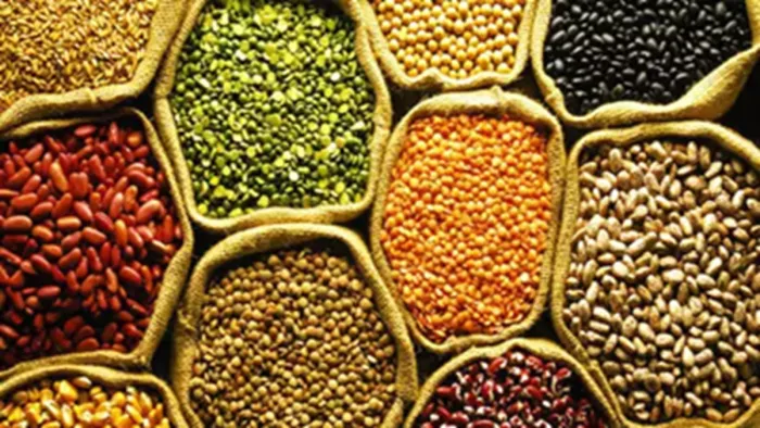 दाल के बढ़ते रकबे से जगी है आत्मनिर्भरता की उम्मीद (सांकेतिक तस्वीर)