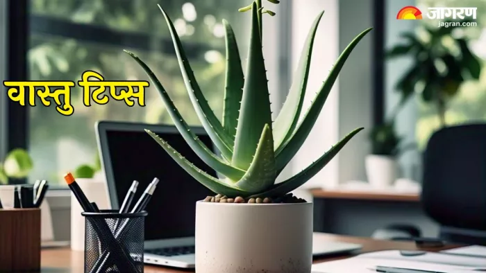 Office Vastu Tips: ऑफिस डेस्क के वास्तु टिप्स (Pic Credit-AI)