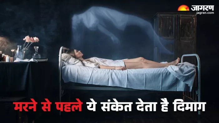 मौत के बाद इंसान के शरीर में होती हैं ये एक्टिविटीज।