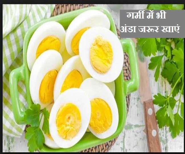 Eating Eggs in Summer गर्मी में अंडा खाना कितना उचित है, जानिए सच्चाई