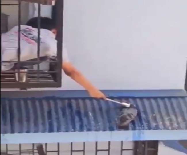 इस वीडियो को भारतीय वन सेवा के अधिकारी ने शेयर किया है