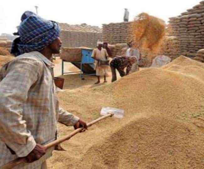 पंजाब में गेहूं खरीद 10 अप्रैल से। फाइल फोटो