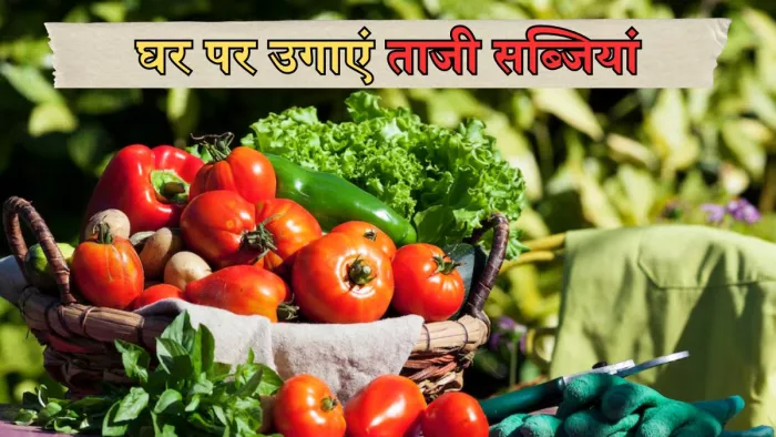 घर पर आसानी से उगाई जा सकती हैं ये सब्जियां