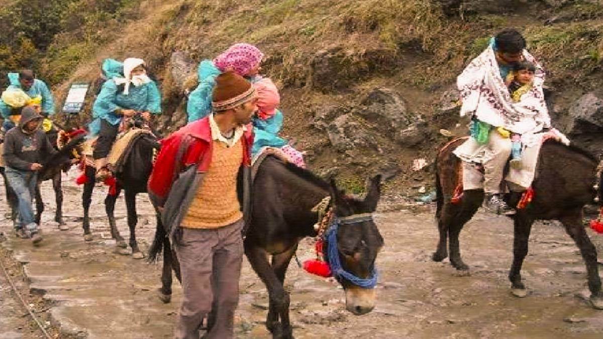 Rudraprayag News: केदारनाथ यात्रा के लिए 5200 घोड़े-खच्चरों के लाइसेंस जारी, इन प्रोसेस के बाद मिलती है परमिशन - Licenses issued for 5200 horses and mules for Kedarnath Dham Yatra