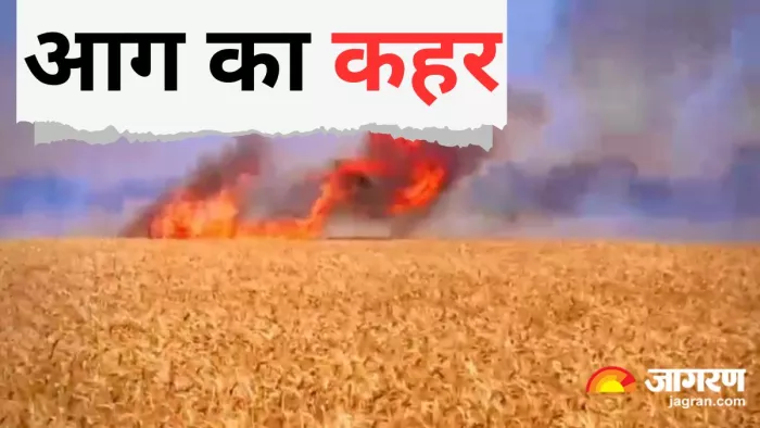 सहजनवां के मकरहट-बुधना सिवान में 80 और खजनी के रामपुर-चिलौना में आठ एकड़ फसलें जली