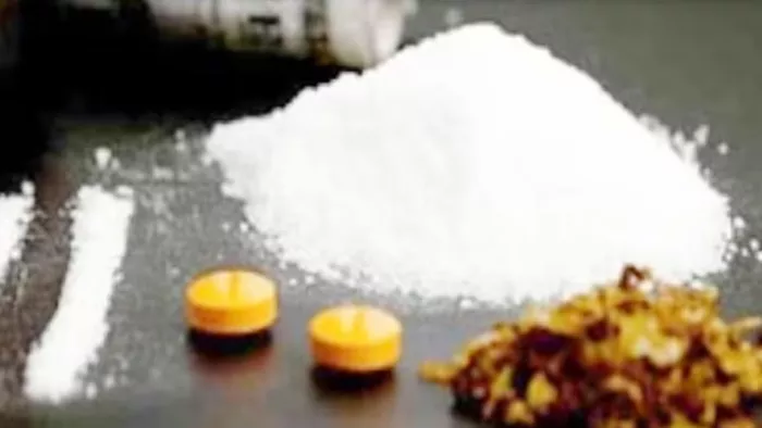 पुलिस ने बरामद किया नशीला पदार्थ। फाइल फोटो