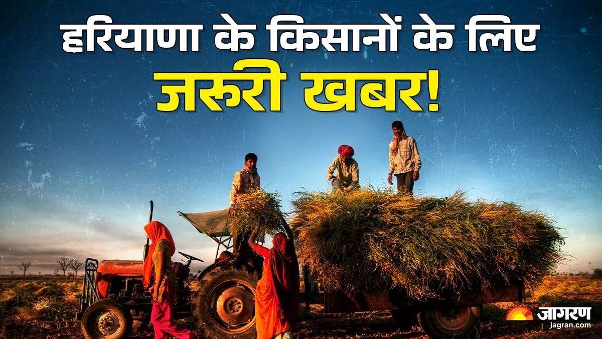 https://www.jagranimages.com/images/newimg/08042025/08_04_2025-haryana_farmers_23914324.jpg