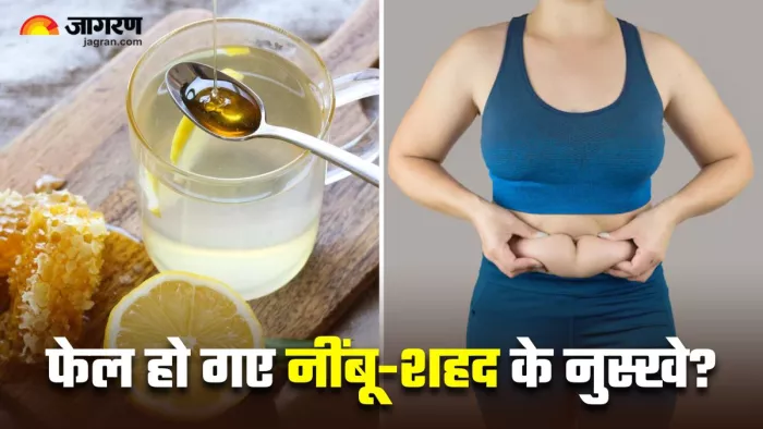 Lemon And Honey For Weight Loss: नींबू-शहद के नुस्खे आजमाकर भी पेट की चर्बी रही जस की तस? (Image: Freepik)