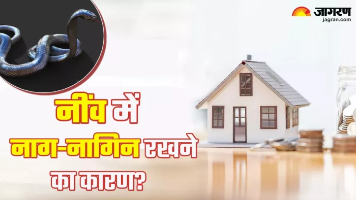 घर की नींव में चांदी के नाग-नागिन रखने के फायदे। (Picture Credit: Freepik)