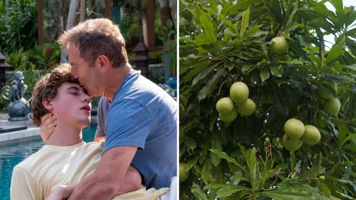 हकीकत में पाया जाता है The White Lotus में दिखाया गया Poisonous Fruit (Image Source: Instagram)