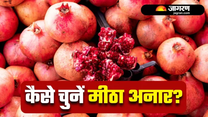 Tricks to find sweet pomegranate: 4 आसान ट्रिक्स से करें मीठे अनार की पहचान (Image Source: Freepik)