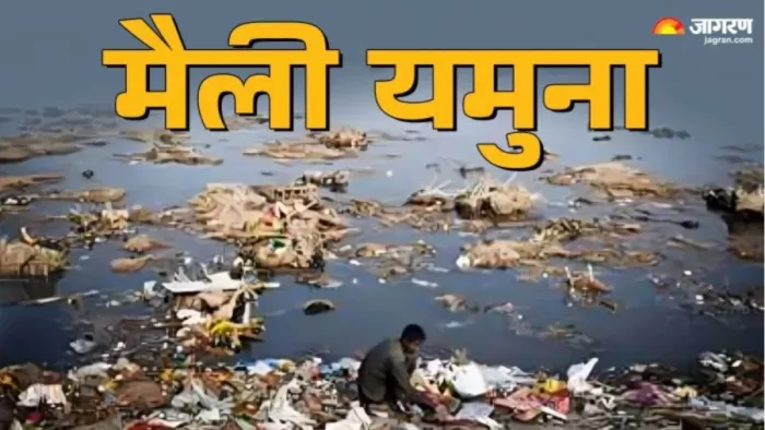 यमुना की सफाई का असर दिखने लगा है। फाइल फोटो