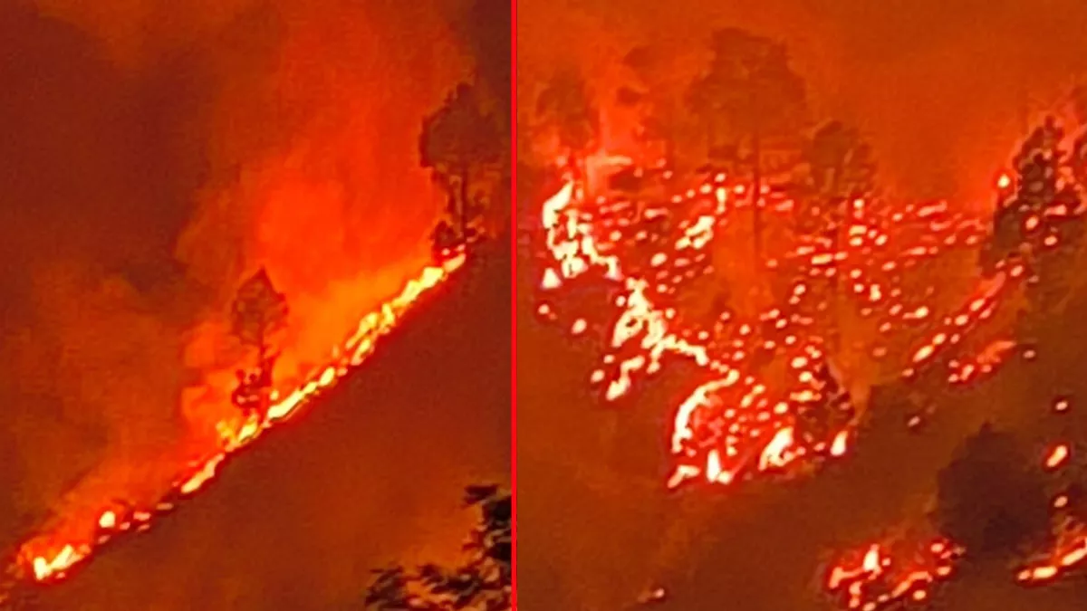 Uttarakhand Forest Fire: दावों की सच्चाई, कुमाऊं के जंगलों में आग बेकाबू; एक दिन में 101 हेक्टेयर राख