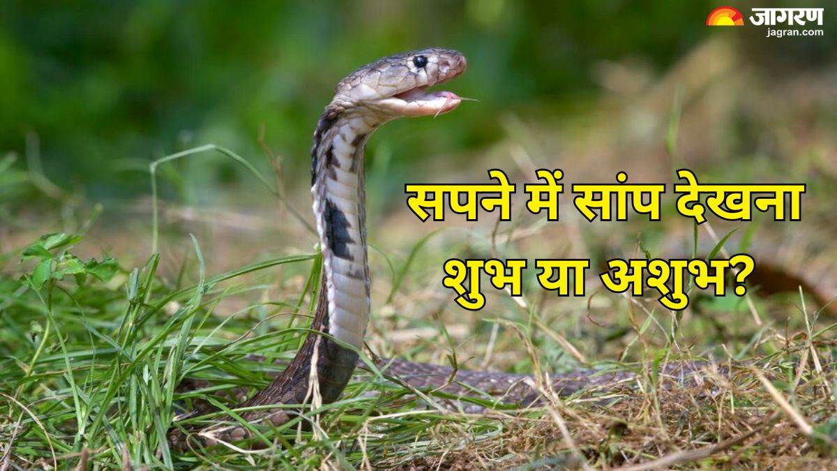 Swapna Shastra: अगर सपने में देखा है सांप, तो समझिए कि जीवन में आने वाली  हैं खुशियां - Swapna Shastra Meaning of seeing snake in dream sapne me  saanp dekhne ka arth