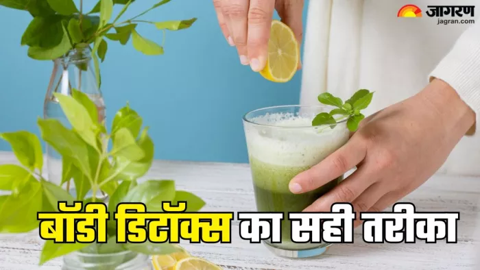 बॉडी डिटॉक्स करने से पहले जान लें ये बातें (Picture Credit- Freepik)