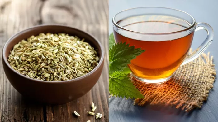 Saunf Water Benefits: गर्मी में सौंफ का पानी सेहत के लिए अमृत, मिलेंगे ये 8 फायदे! (Picture Courtesy: Freepik/ Canva)