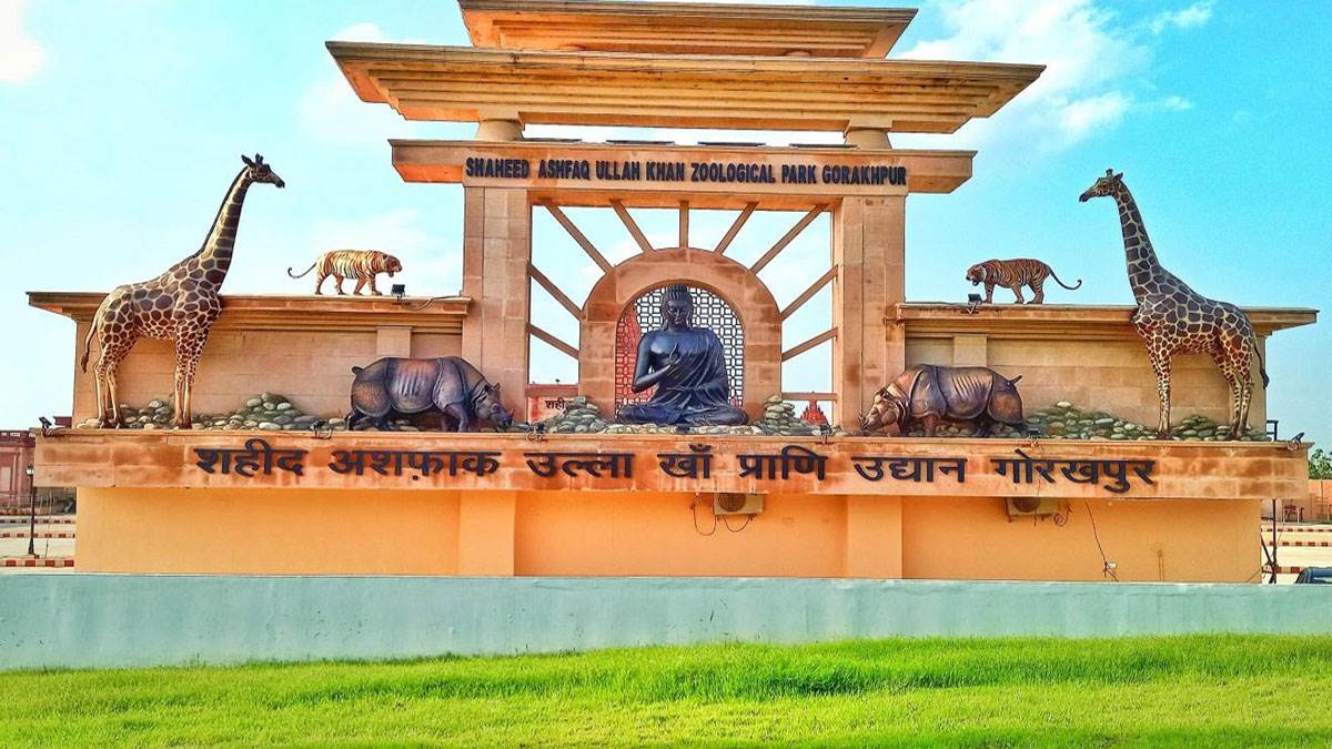 https://www.jagranimages.com/images/newimg/08052025/08_05_2025-gorakhpur-zoo_23933608.jpg
