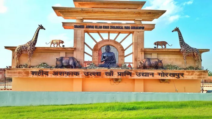 Gorakhpur Zoo: गुरुवार को बाड़े में तेंदुआ मोना की मौत हो गयी। File