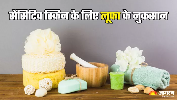 क्या आप भी नहाते समय करते हैं लूफा का इस्तेमाल (Picture Credit- Freepik)