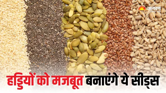 Bones and Muscle Health Tips: हड्डियों और मांसपेशियों की ताकत के लिए 5 सीड्स (Picture Courtesy: Freepik)