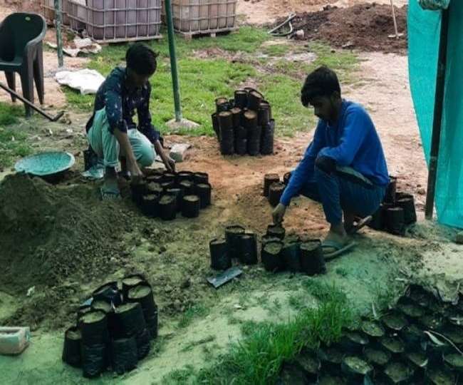 Aravalli News: खोरी गांव में भूमाफिया का दिया कब्जा ही रजिस्ट्री मान लेते हैं लोग