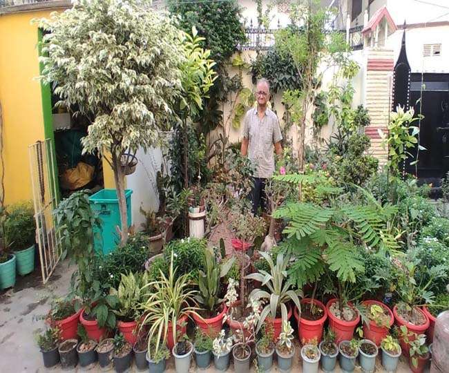 https://www.jagranimages.com/images/newimg/08062021/08_06_2021-house_garden_21718433.jpg
