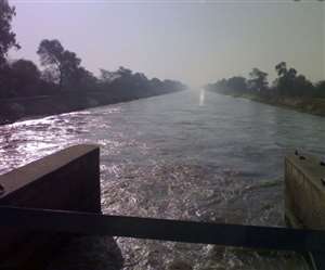 इंदिरा गांधी नहर में 60 दिन नहर बंदी के बाद मई के अंत में हरिके बैराज से पानी छोड़ा गया