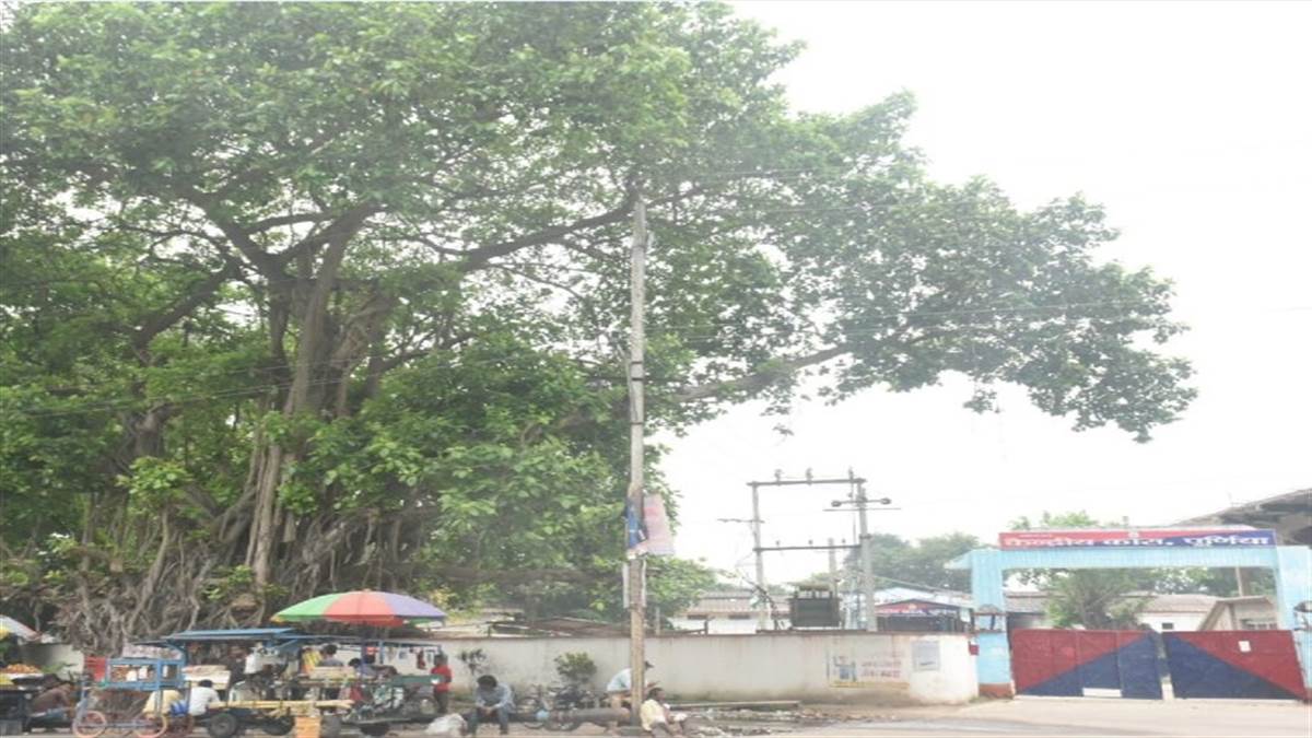 https://www.jagranimages.com/images/newimg/08062022/08_06_2022-bihar_purnia_news_22784790.jpg
