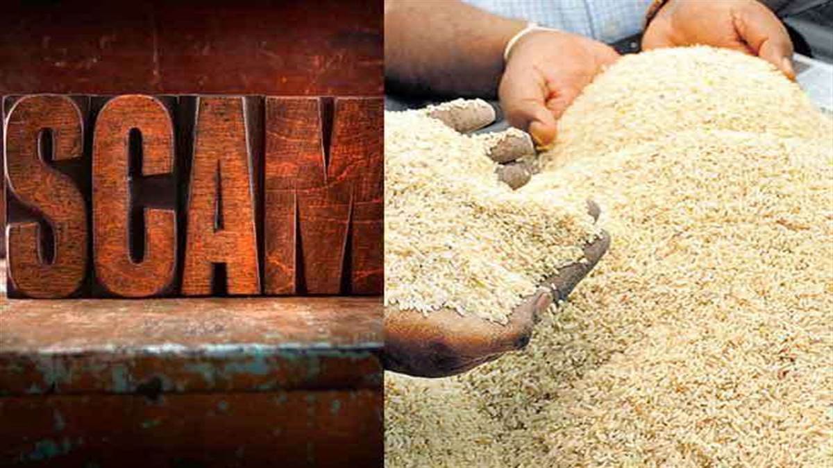 rice scam eyes on investigation report a game of water was made to complete stock