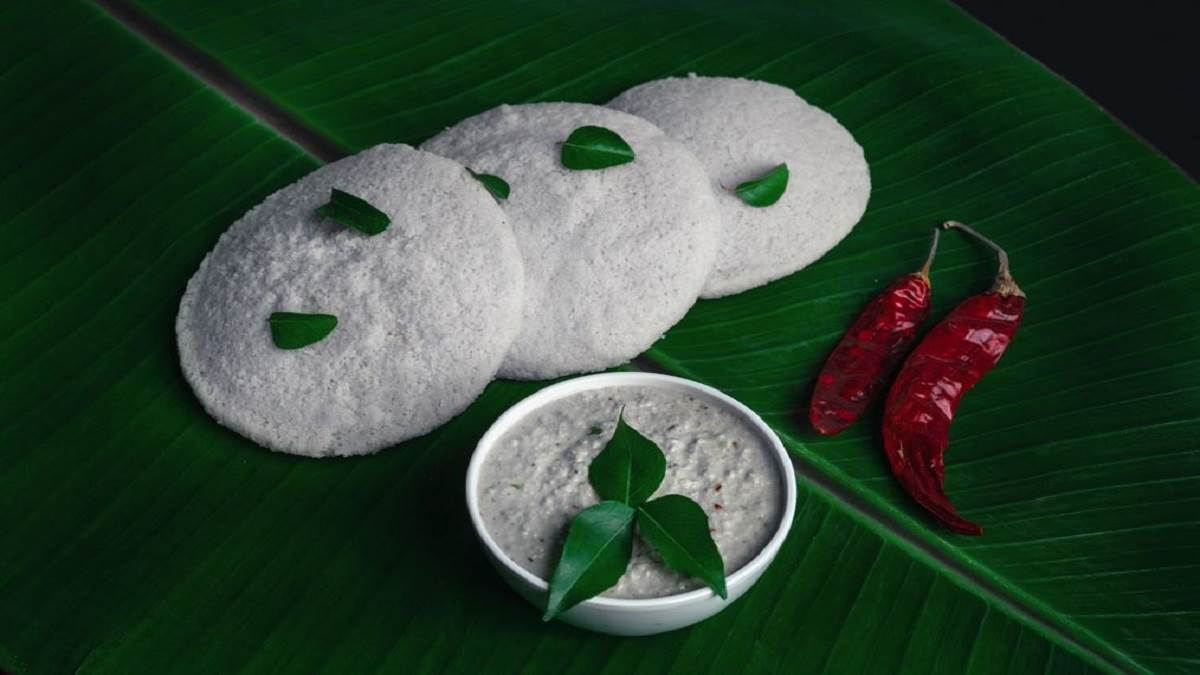 Best Idli Maker: इन इडली मेकर से बनेगी मजेदार और सॉफ्ट इडली, भूल जाएंगे रेस्टोरेंट का स्वाद