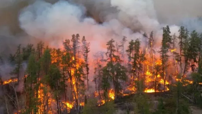 Canadian Forest Fire कनाडा के जंगलों में आग का कहर।