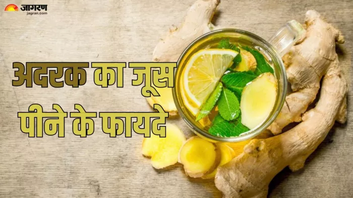 खाली पेट अदरक का रस पीने के फायदे (Picture Credit- Freepik)