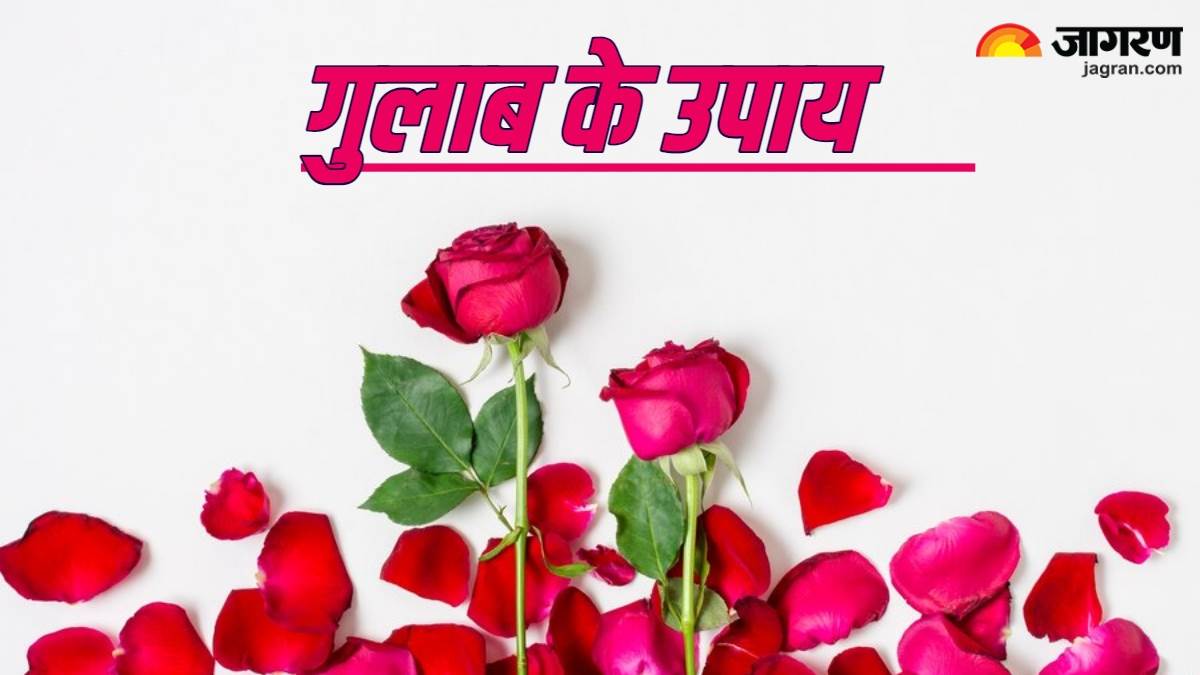 News Article Hero Image