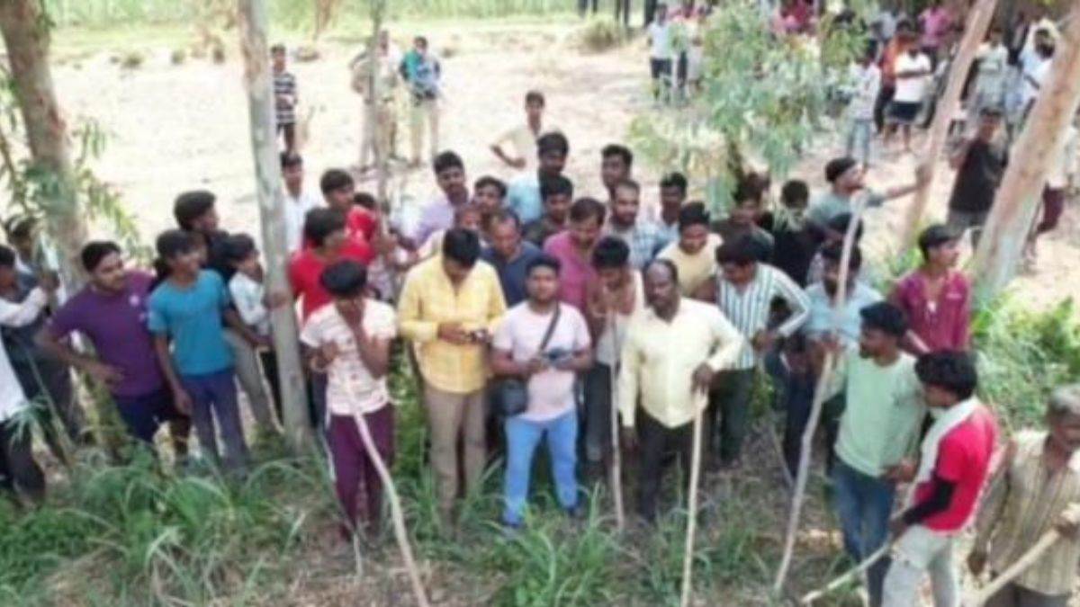 leopard attack on villagers injured killed leopard